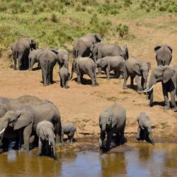 Tarangire-National-Park-750×450 Tarangire-National-Park-750x450